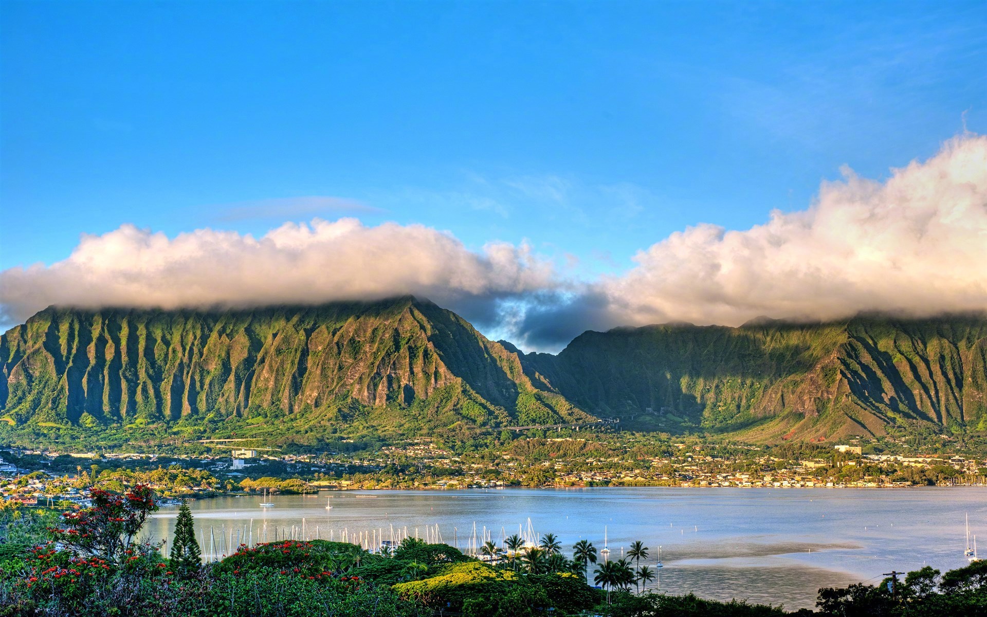 尝尽人间百味,还是清淡最美;看过人生繁华,还是平淡最真