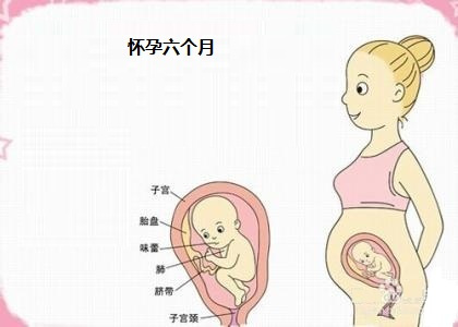 怀孕第七个月本月胎儿发育越来越好了,而且胎儿开始有表情了呢!