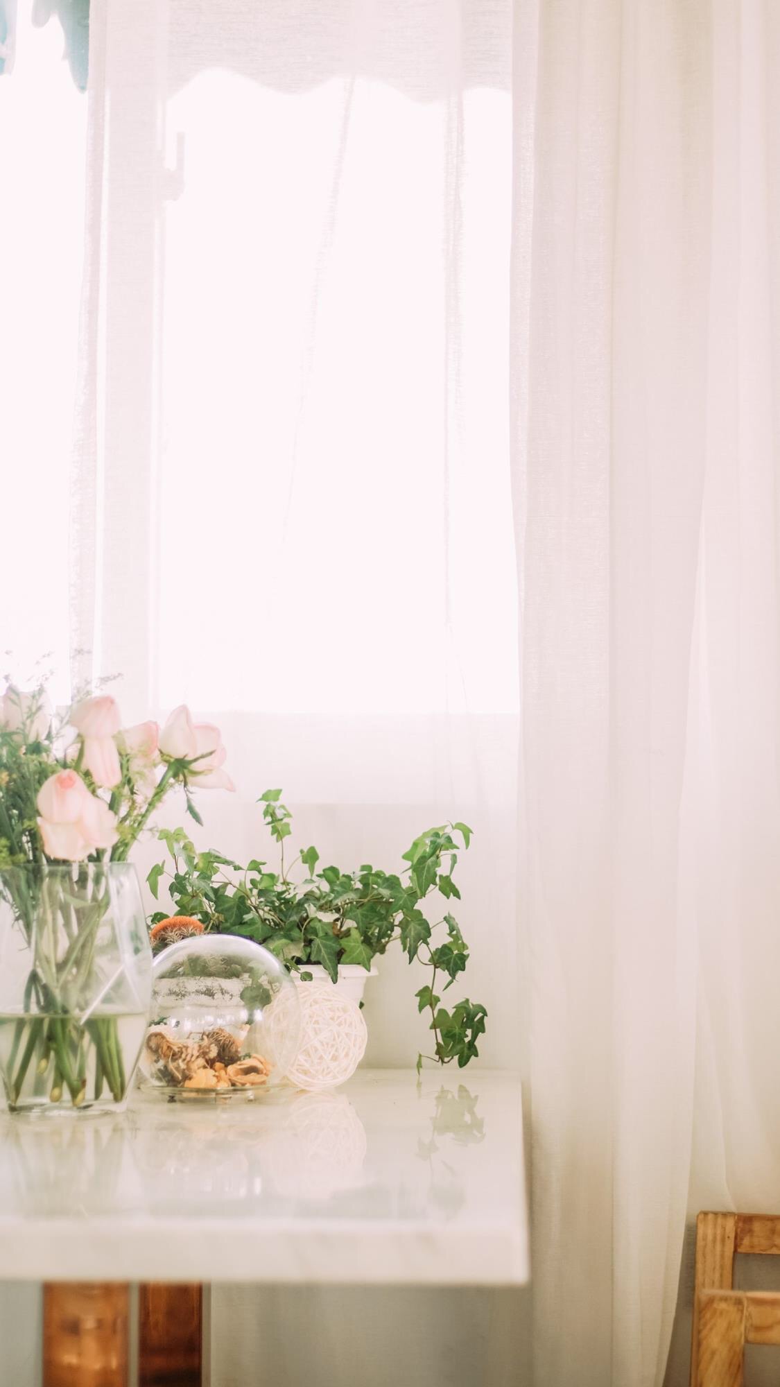 人生就像蒲公英