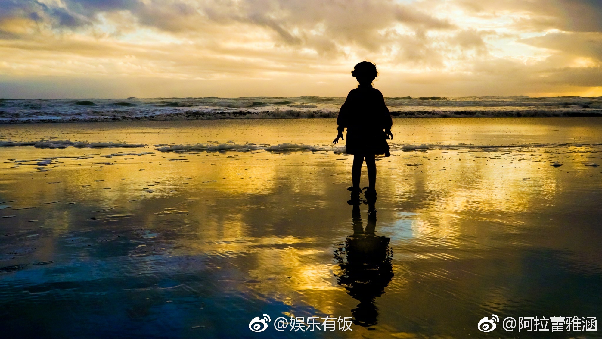 67一早就被的海边大片萌到! 67一早就被的海边大片萌到!