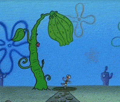 394_336gif 动态图 动图