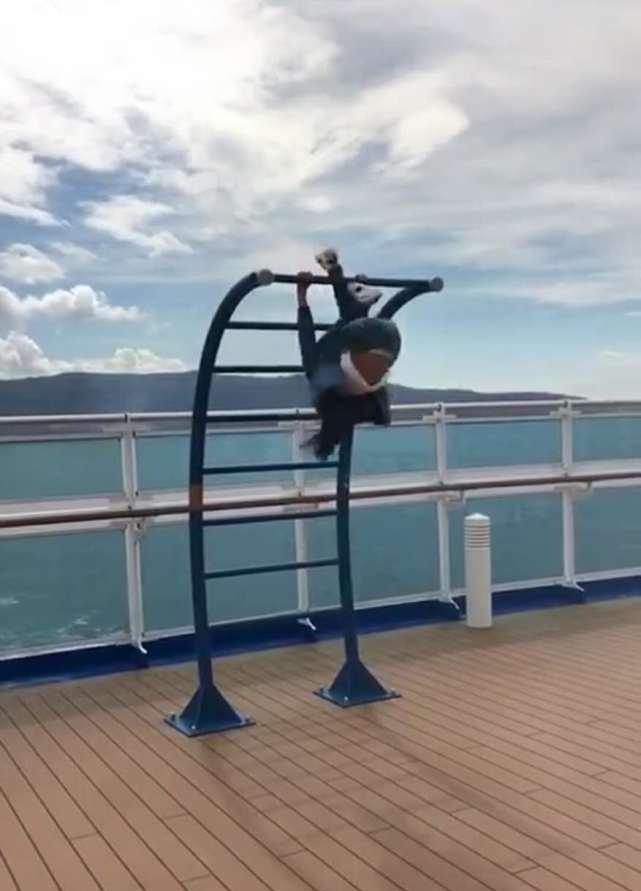 厉害了森碟, 身手敏捷玩单杠凌空翻, 网友: 我连爬都不敢爬