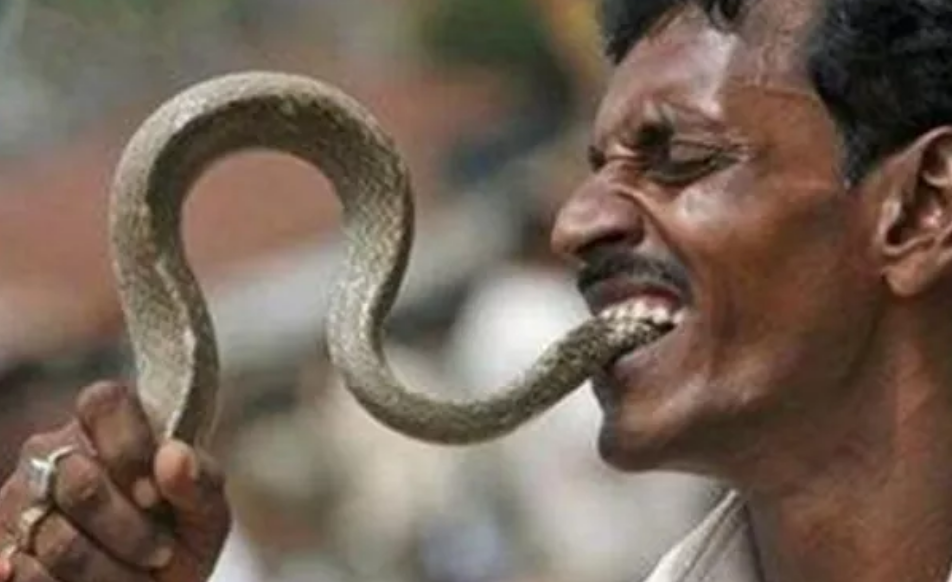 男子用眼镜蛇泡酒,泡了一个月后,准备尝酒的他竟然被蛇吻住