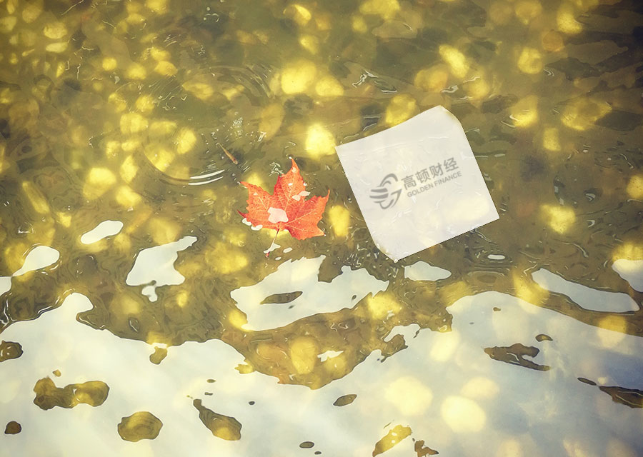 辞职、脱产备考CPA…对不起,我不建议你这么