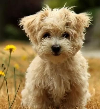 五四青年节搞什么活动最具活力最创新