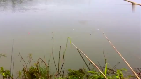 钓鱼: 有人说这种是阿波钓法