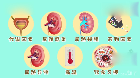 上尿路结石的常见诱因有哪些如何自我诊断是否有尿路结石呢
