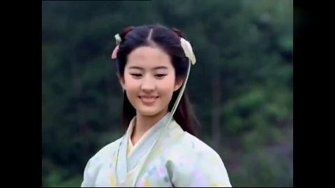 影视剧仙剑奇侠传四 仙剑四御剑而来 仙剑四官