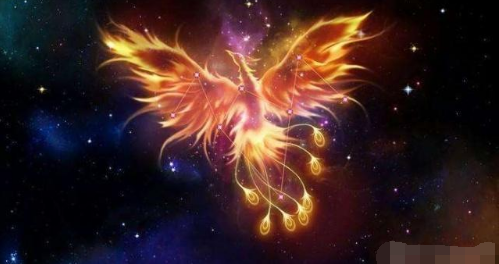 心理学:你最喜欢哪个凤凰?测你以后能不能大富大贵