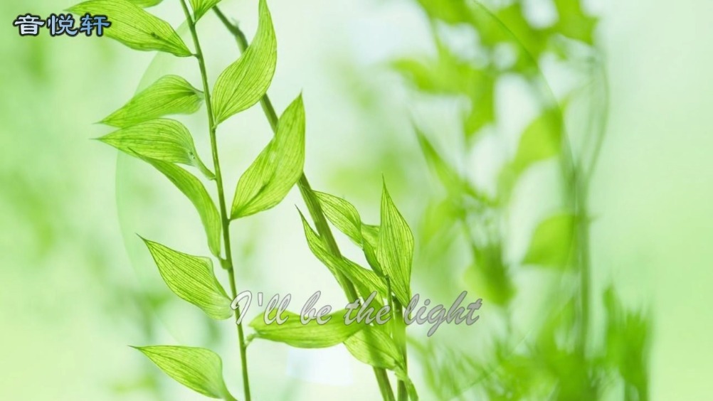 被抖音捧红的几首英文歌,18岁小姑娘这首最惊