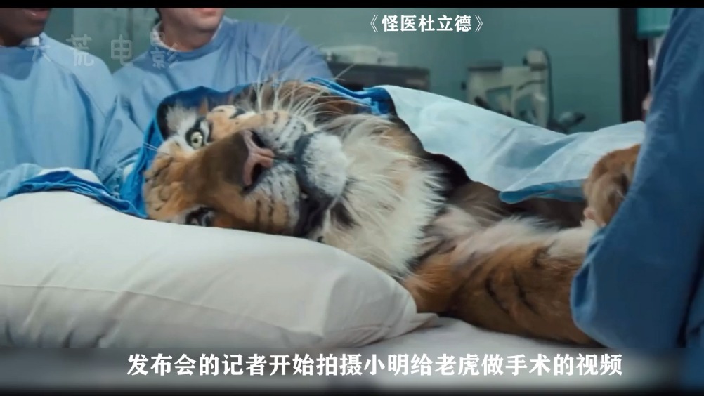 真实故事改编,公交车44路坠河,无一人生还!经典