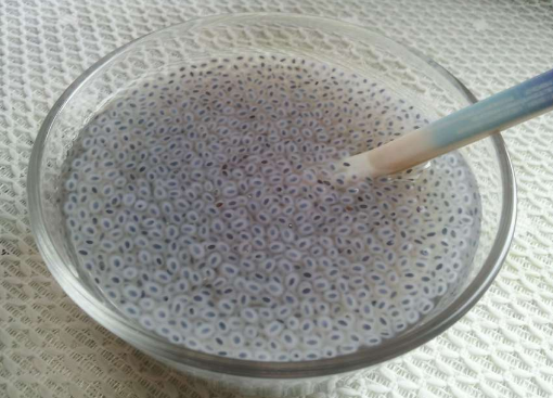 南眉籽可以空腹吃吗,南眉籽为什么不能嚼