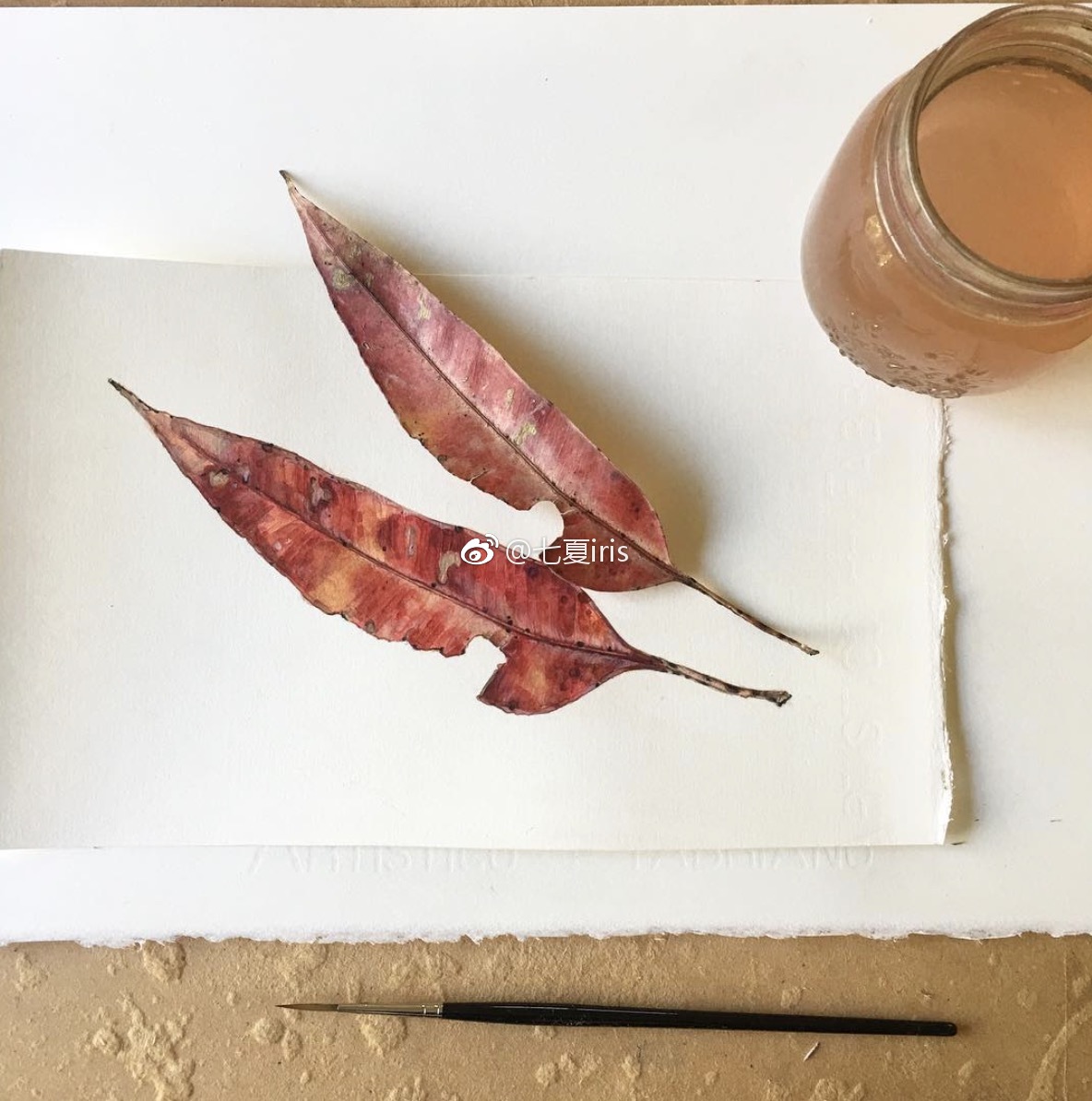 超写实逼真的叶子水彩绘画分享来源ins