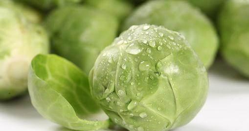 这样的卷心菜不能吃, 长期食用导致慢性中毒、