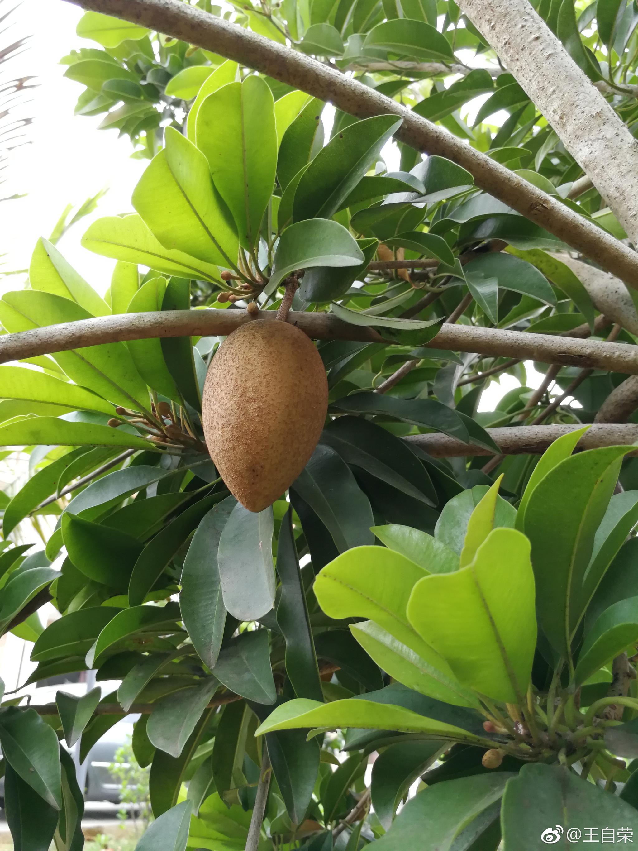 虚拟博物馆技术应用 数字博物馆怎么参观