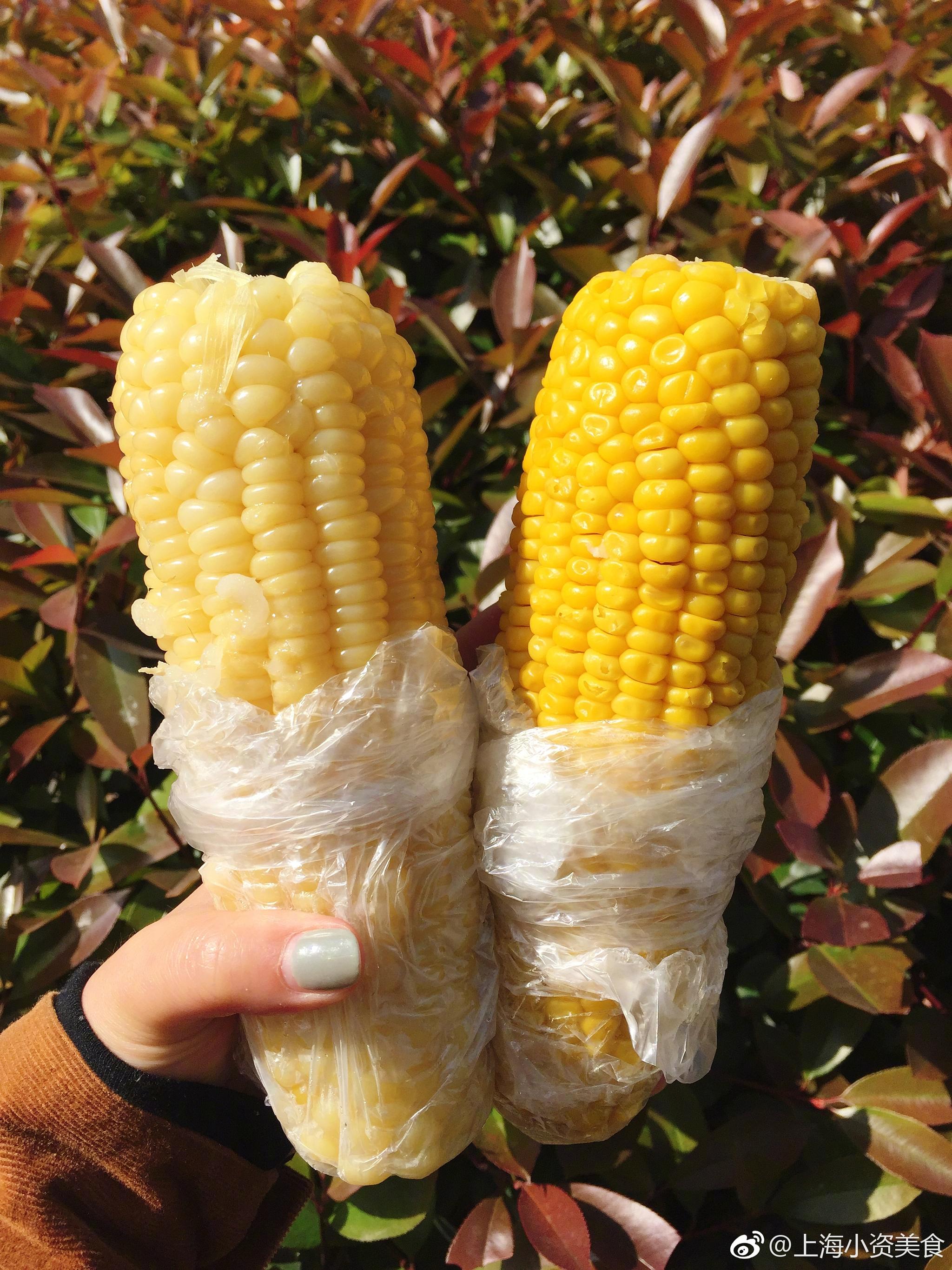 糯玉米vs甜玉米,你站哪边?