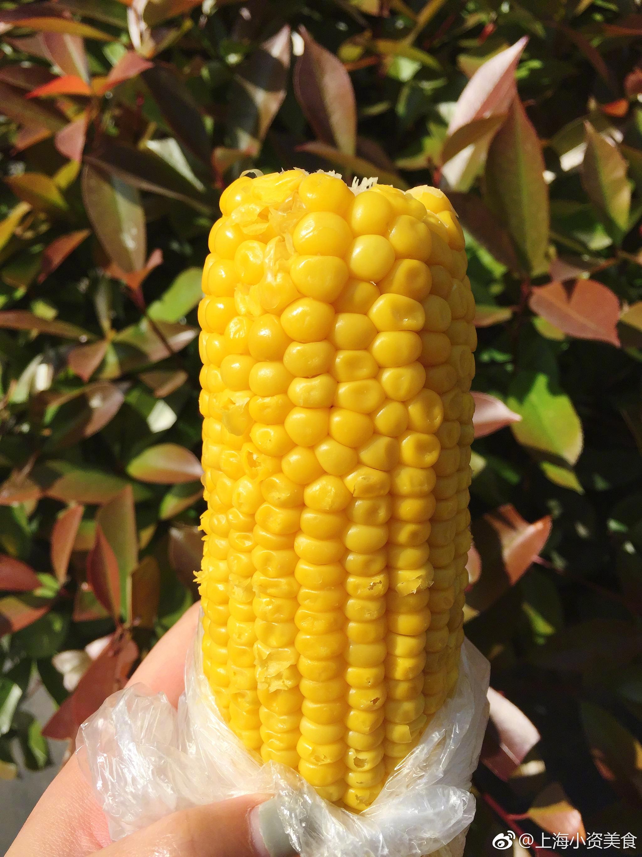 糯玉米vs甜玉米,你站哪边?