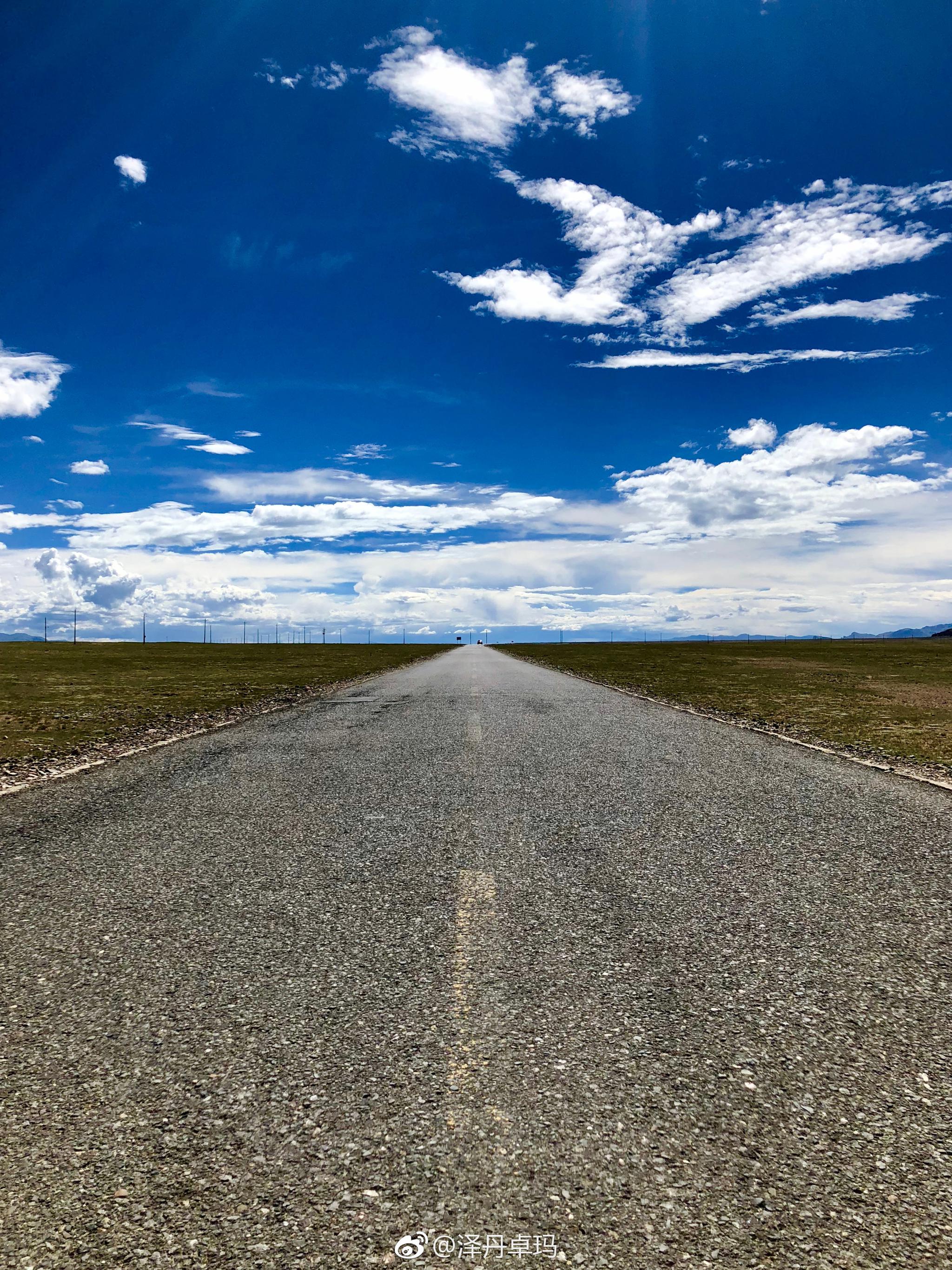 在西藏,在路上,那些花,那些云