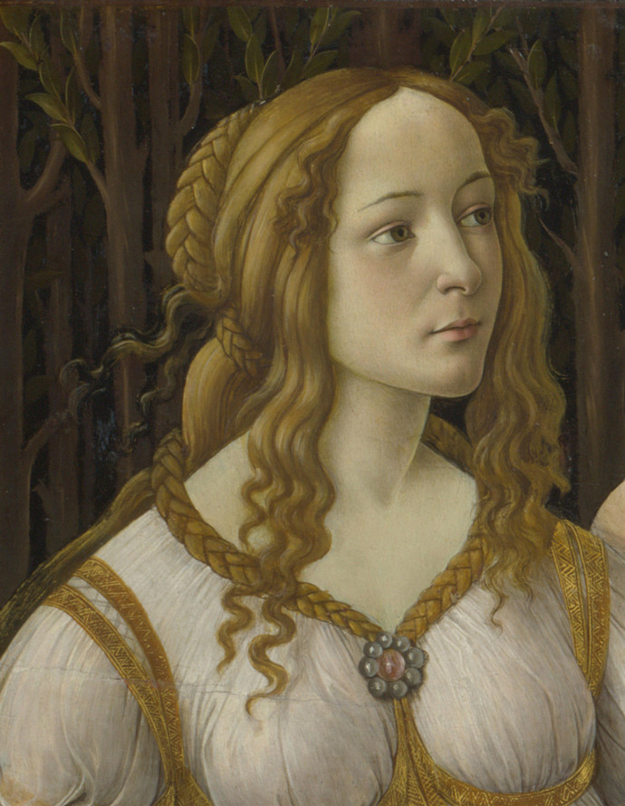 以他的女神,当时佛罗伦萨第一美女,贵妇西蒙内塔(simonetta vespucci