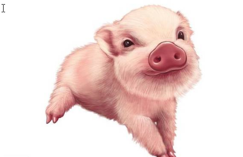 生肖猪,你从此要乐了,你大喜事临门了!