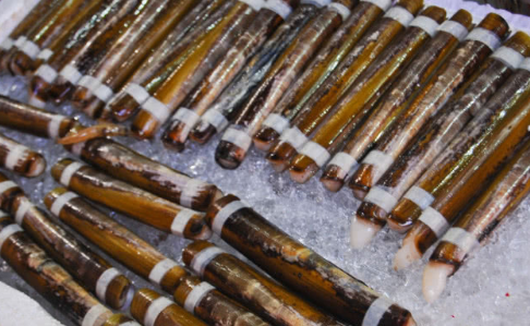 这种海鲜是海里的竹子一根和手指一样长现在卖到40块一斤