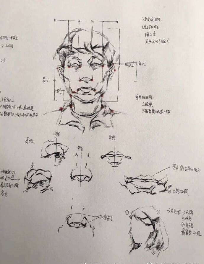 干货五官结构素描五官结构 |五官|素描|干货_新浪新闻