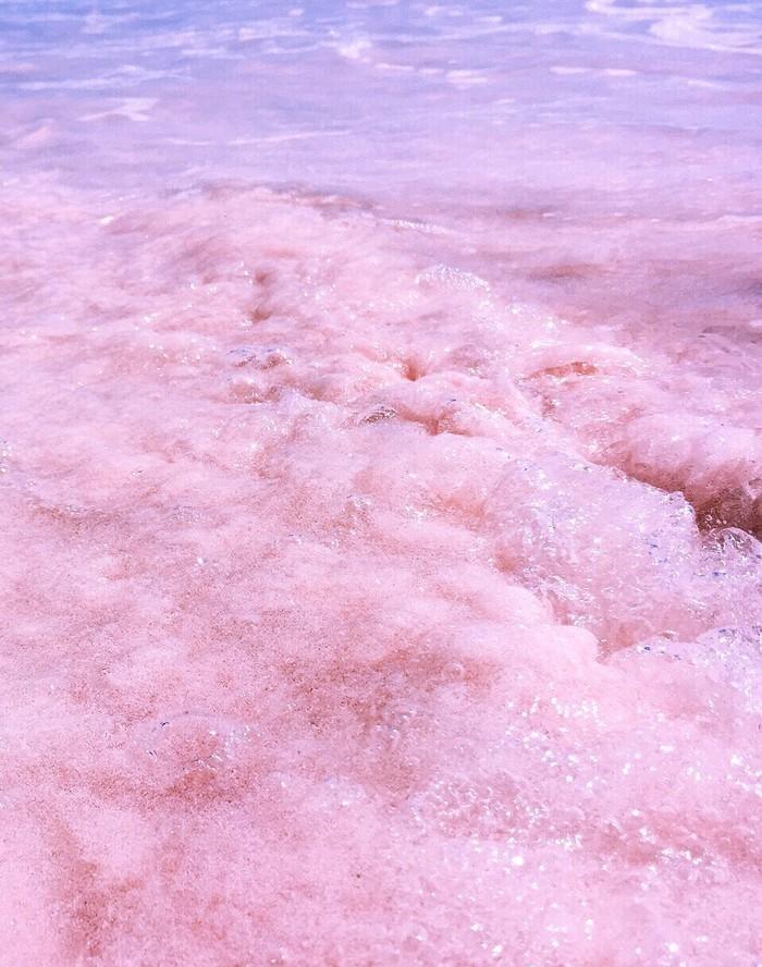 它被称为世界上最性感的海滩, 它是哈勃岛粉色沙滩