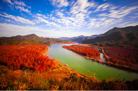 环东海域之上,勾勒出每一寸你曾想象的生活