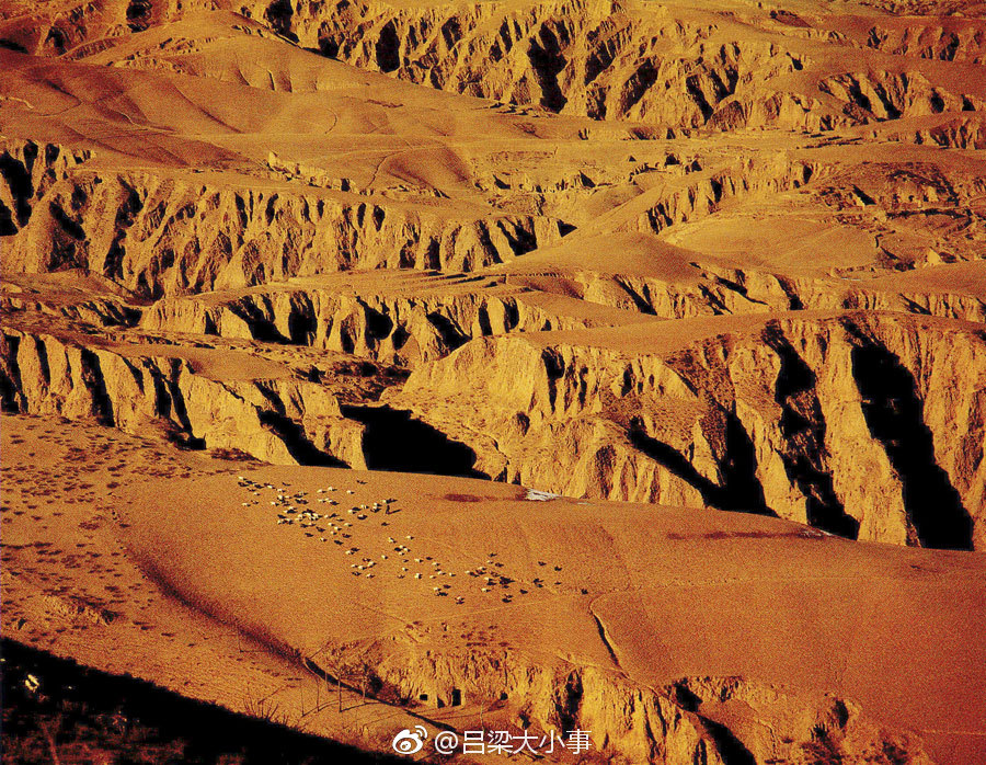 吕梁中阳–黄土塬