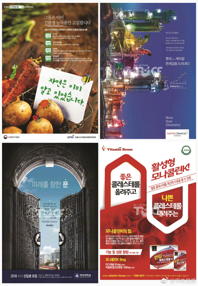 杂志内页图文排版设计