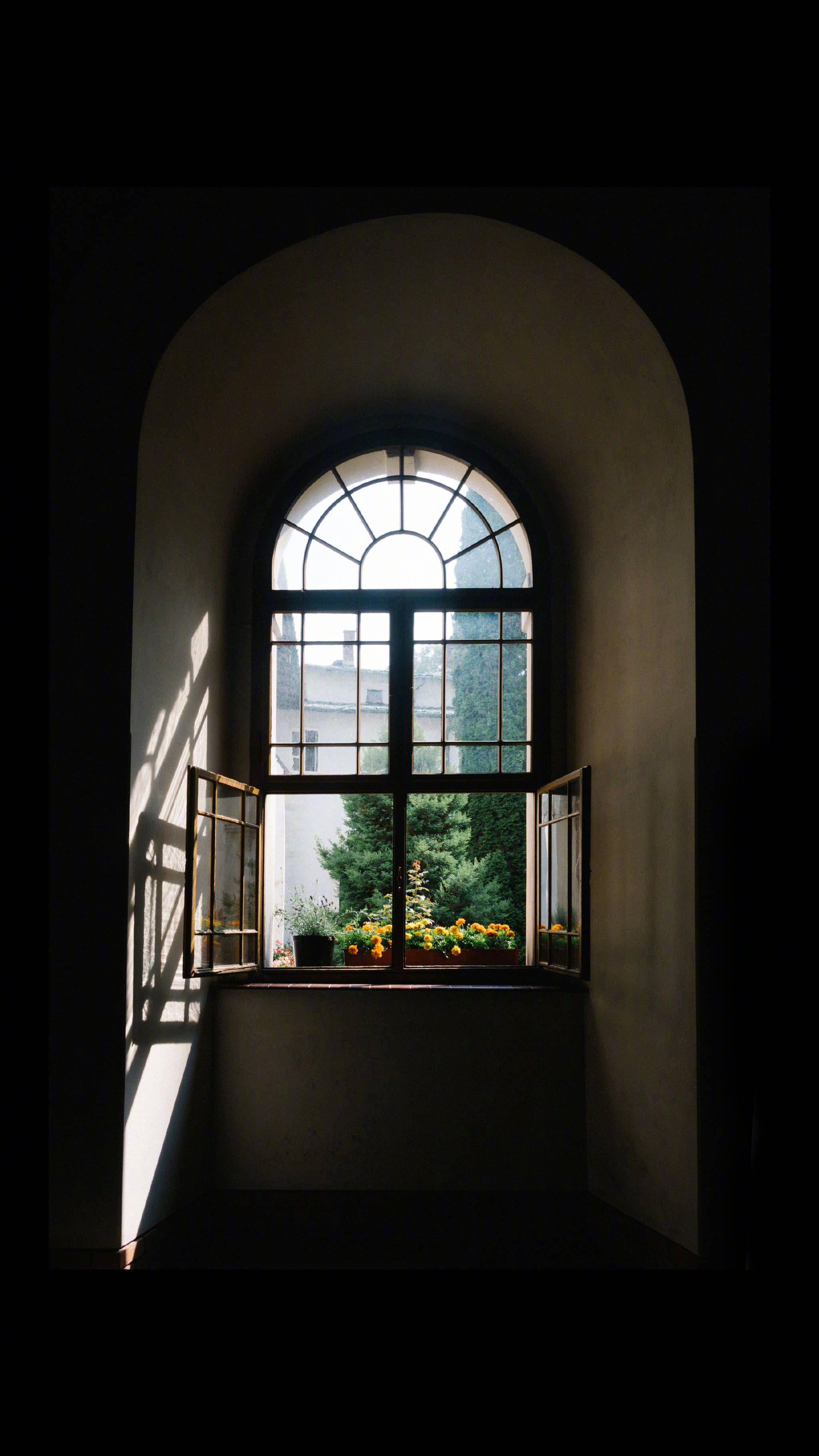 对于人,眼睛是心灵的窗户