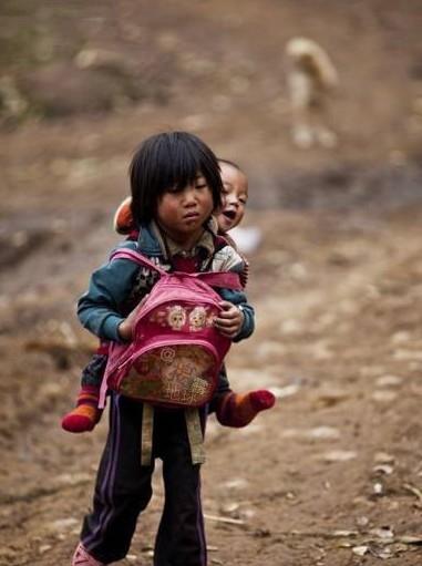 社会人看社会事儿