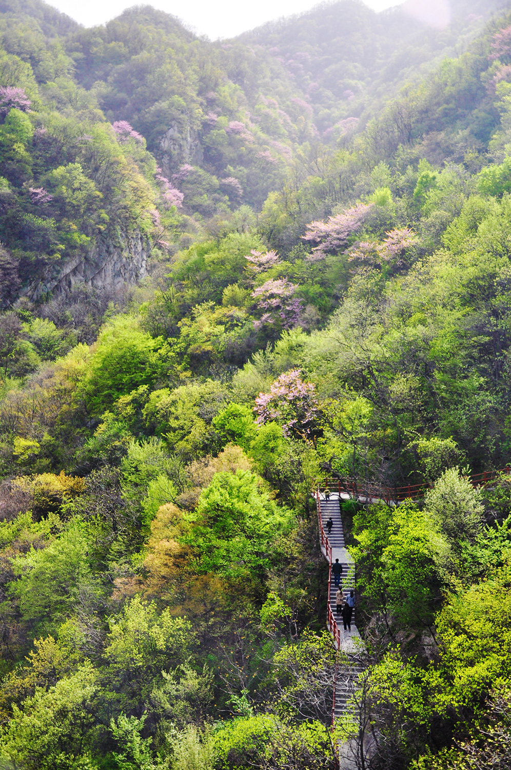 清明小长假,河南鲁山天龙池风景区游客爆棚