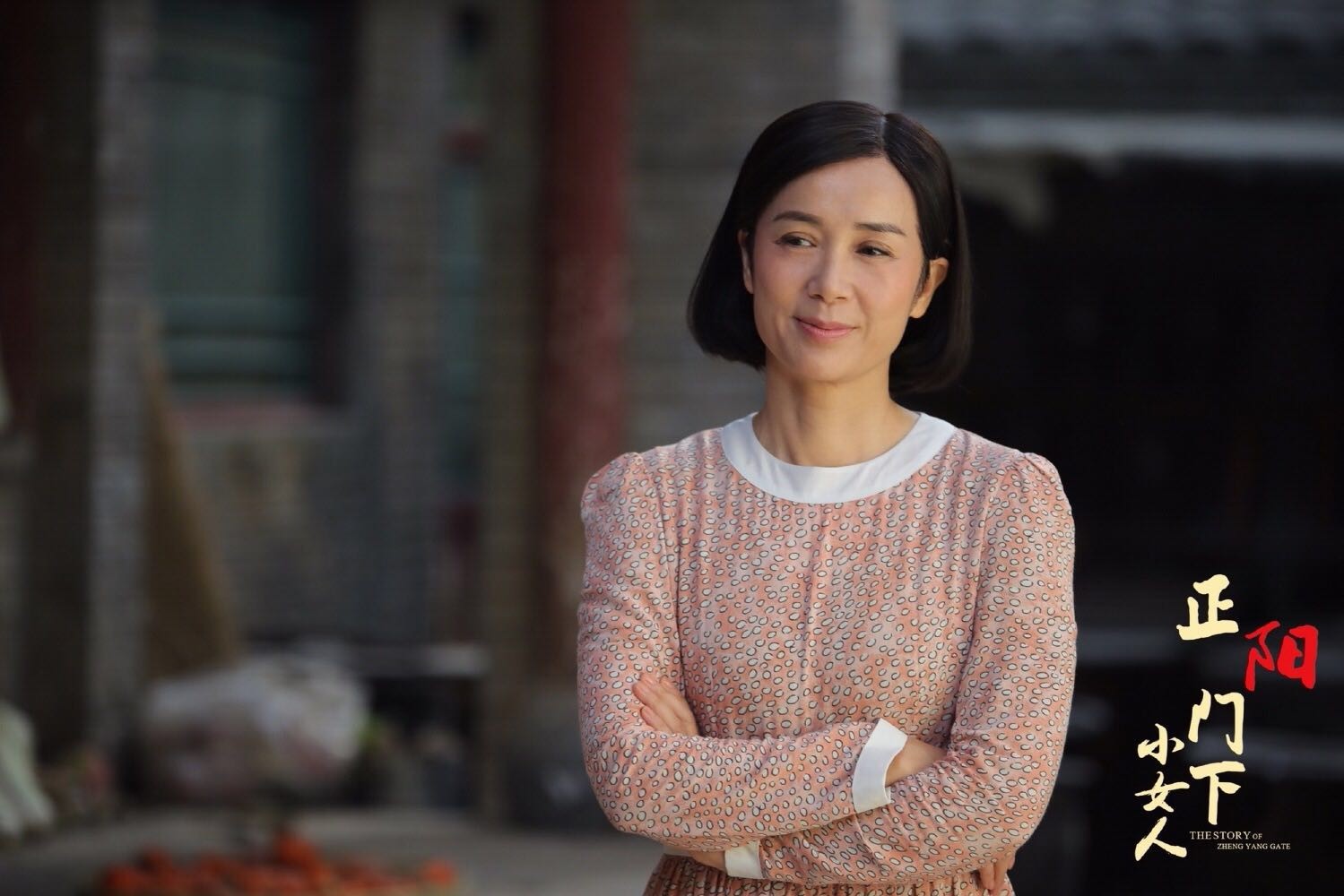 电视剧小女人 新浪网