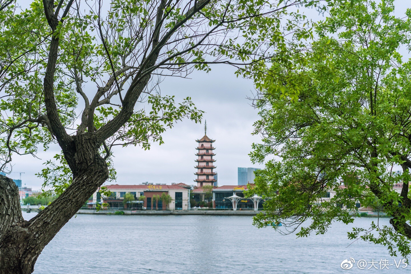 在南通的通州区风景如画的南山湖公园与南山寺相依