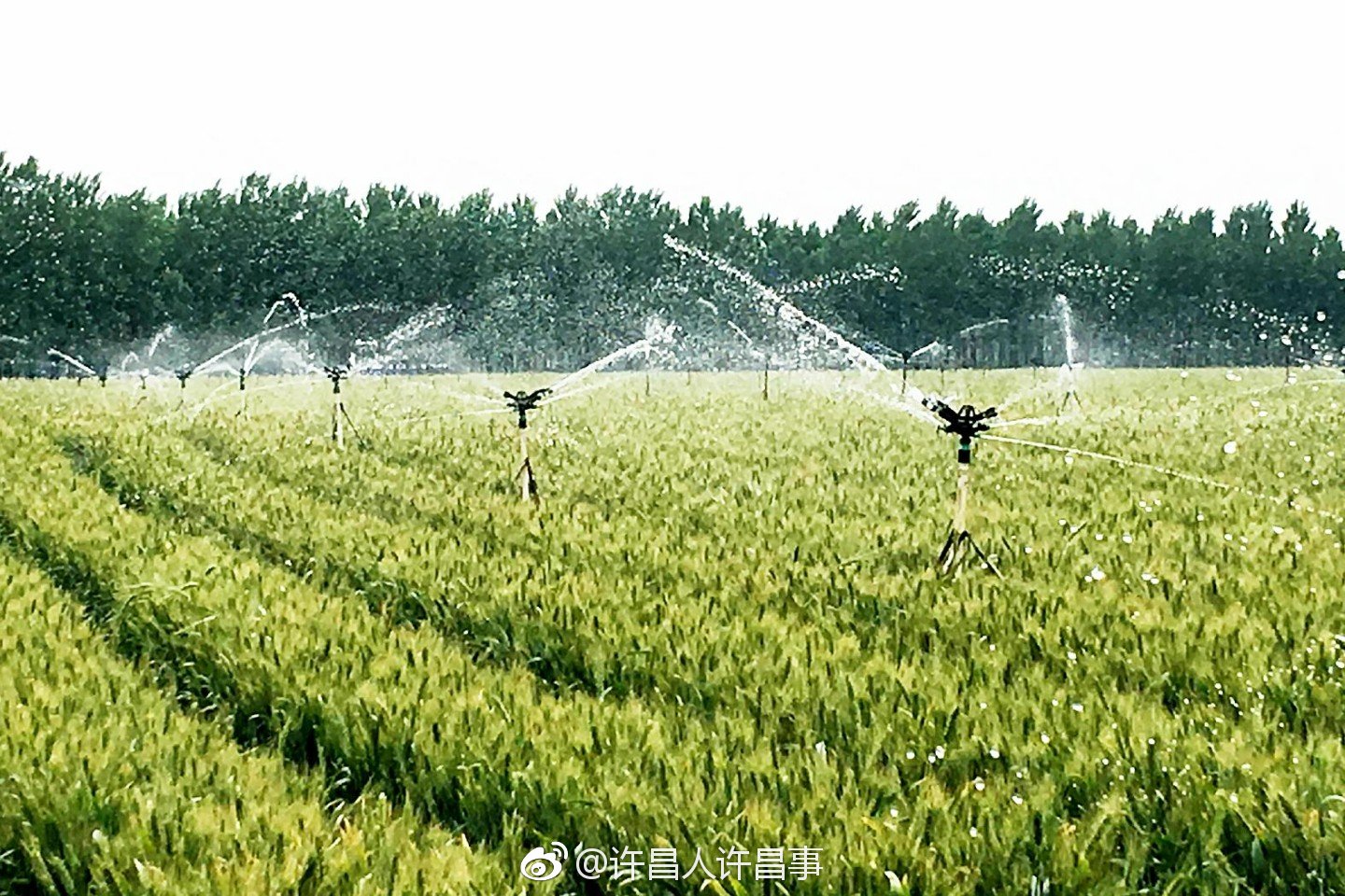 我市超额完成2018年度高效节水灌溉项目建设任务