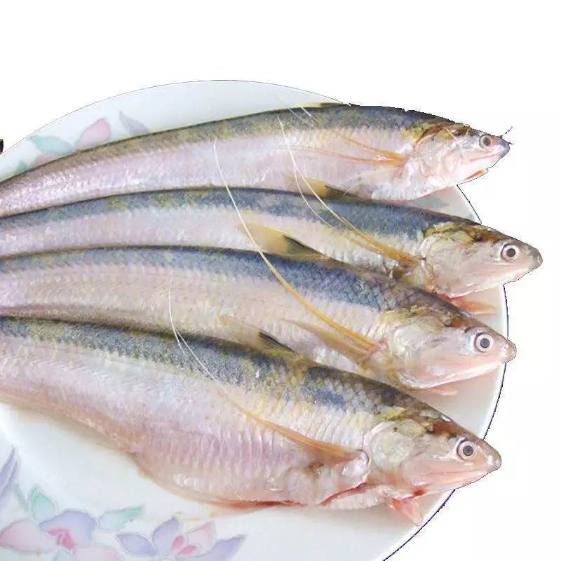 为赚钱这伙人铤而走险…|浙江|刀鱼|瓯江_新浪新闻