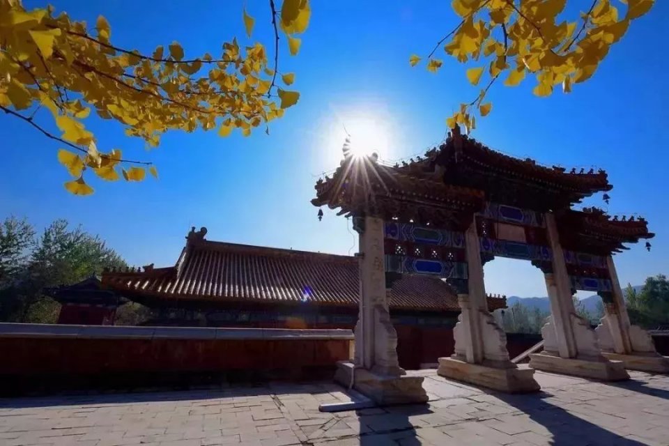 还有3座后陵 此外 还有怀王陵,公主陵,阿哥陵,王爷陵等 共14座 还有