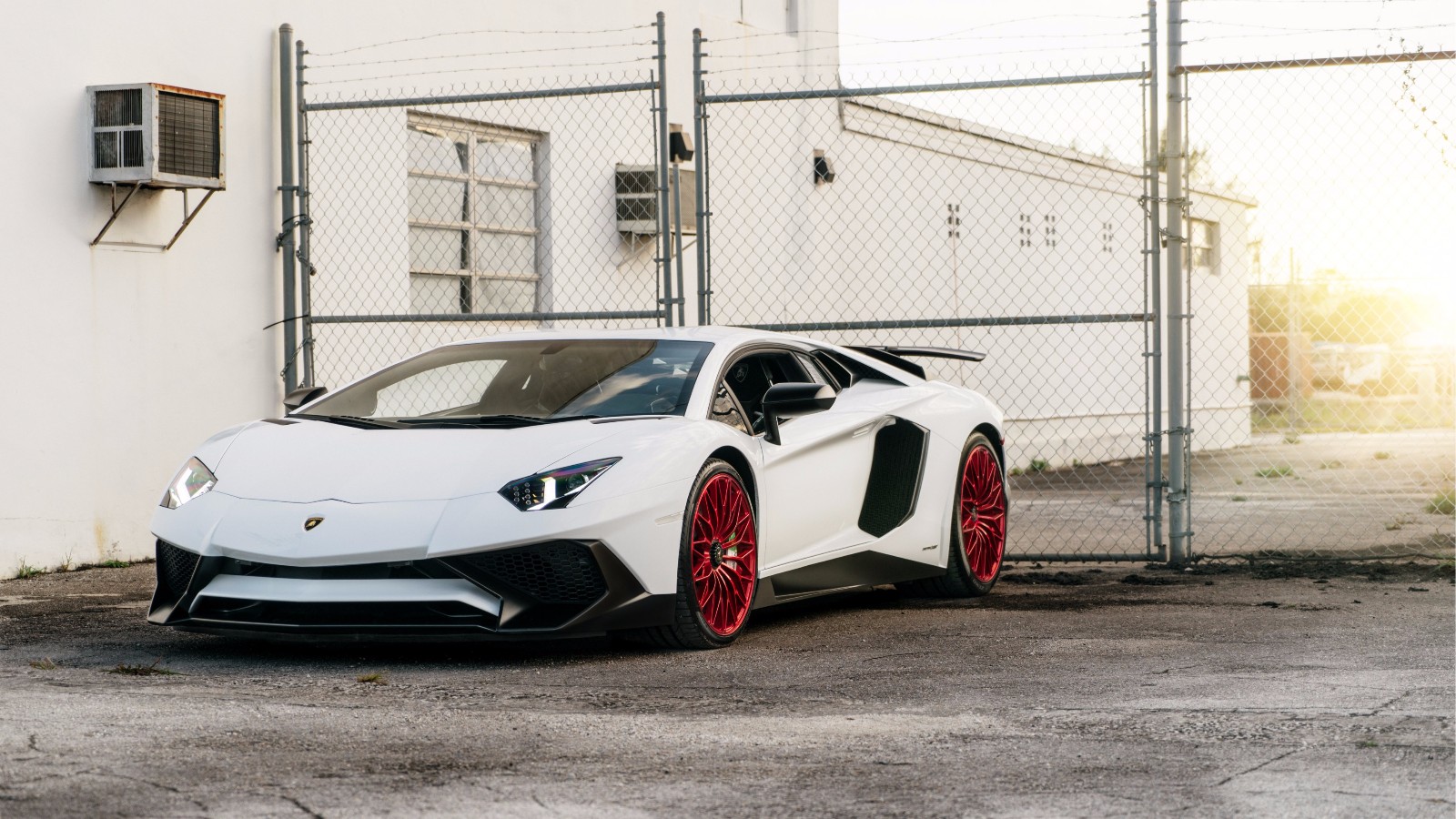 摄影杰作美不胜收