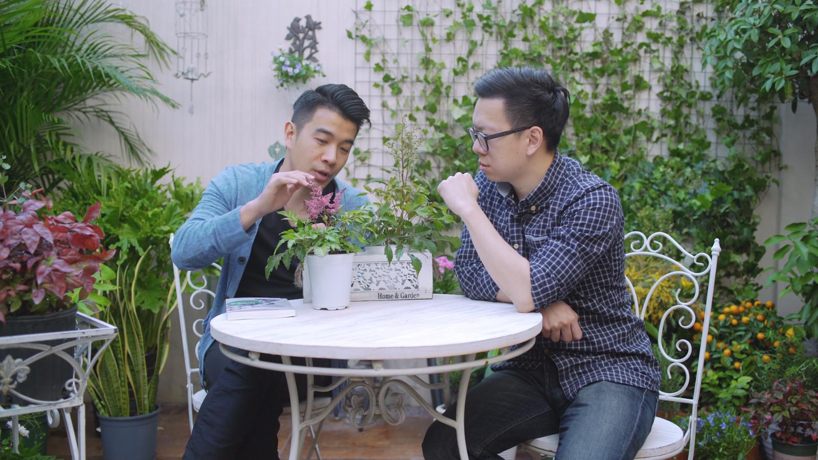 落新妇,喜阴观花植物种植首选,盆栽地栽两相宜