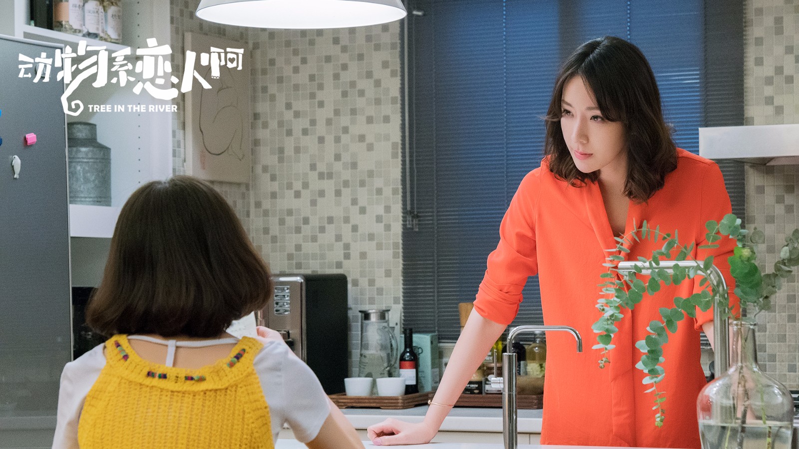 由钟欣潼,贺军翔,隋棠,张睿家领衔主演的电视剧《动物系恋人啊》正在