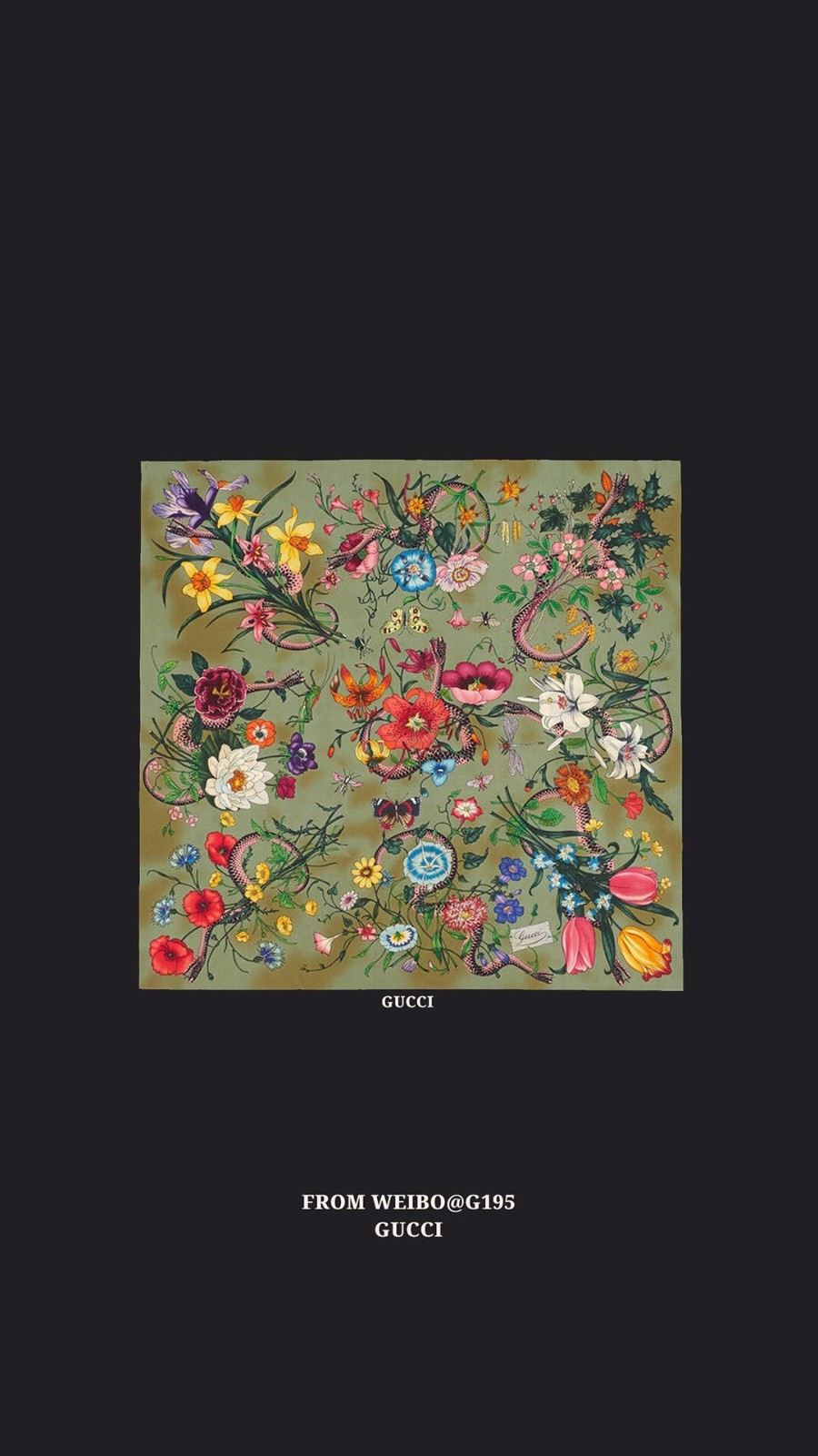 50 Gucci 虎壁紙 50 Gucci 虎壁紙