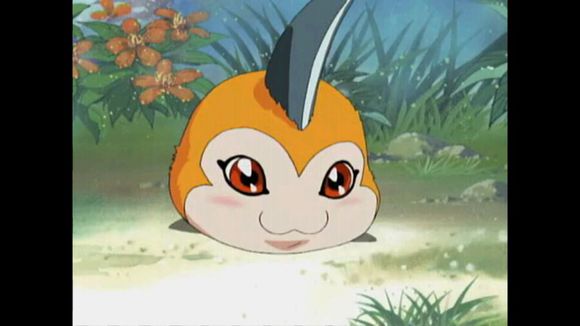 数码宝贝1第一代数码兽幼年期形态好怀念你还记得吗