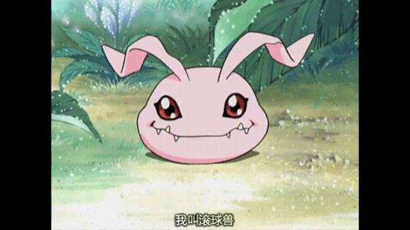 数码宝贝1第一代数码兽幼年期形态好怀念你还记得吗