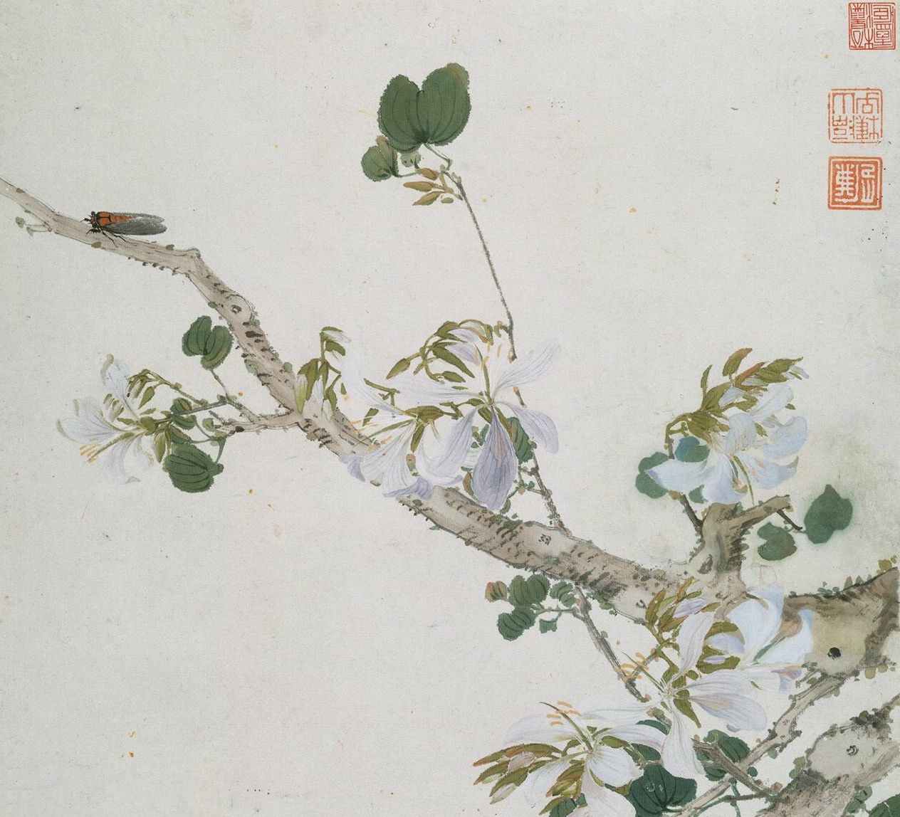 居廉· 花鸟欣赏 … 更多关注