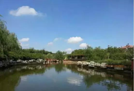 昌乐桂河湿地公园成功入选第三批潍坊市科普教育基地