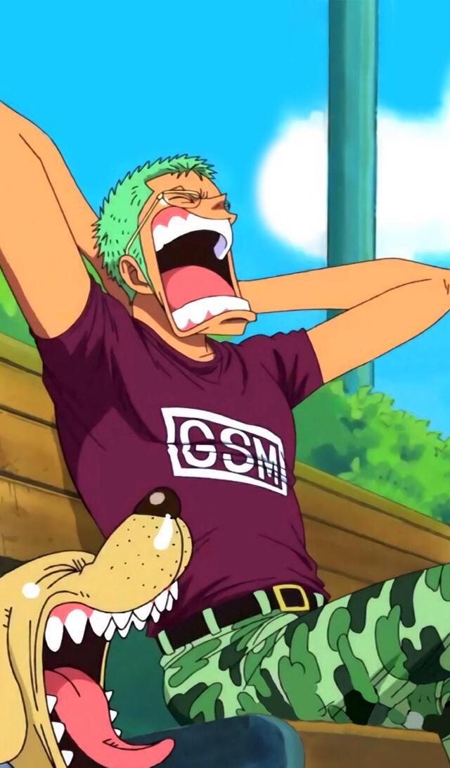 海贼王喜欢卓洛的十大理由