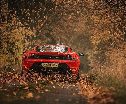 秋天到了,树叶黄了,壁纸屏保该换新车了-新浪汽车