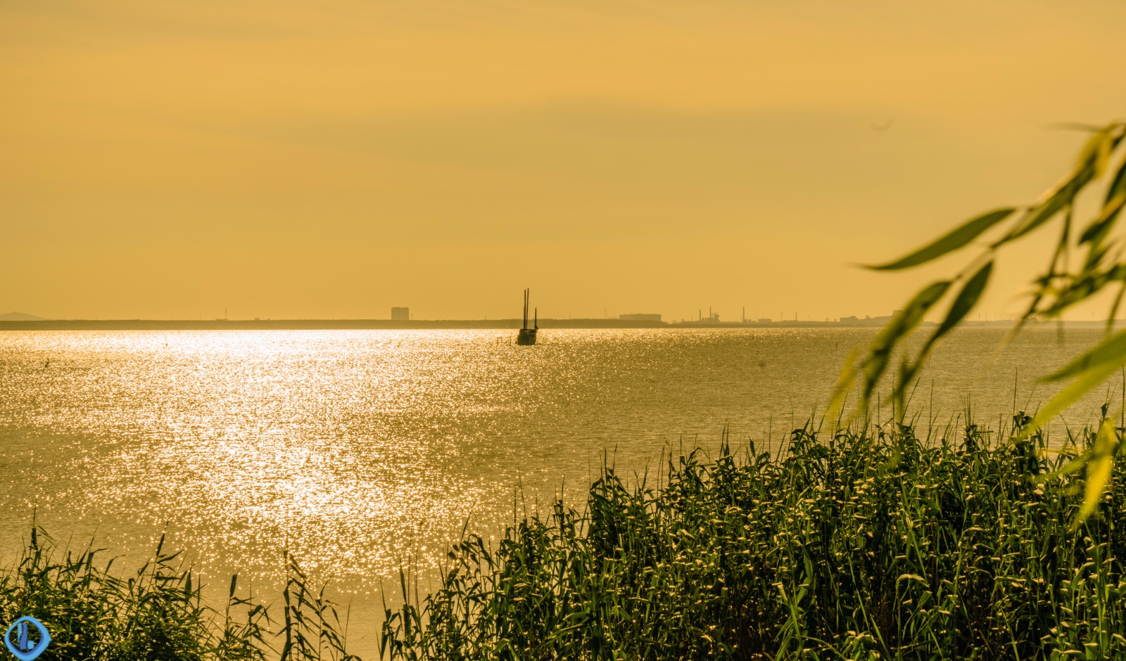 金光闪闪,夏日夕阳余晖下的无锡太湖