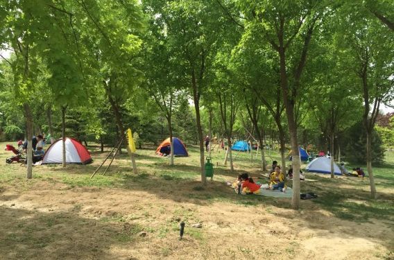 南海子郊野公园自驾:京昌高速公路昌平西关出直行向十三陵方向,长陵